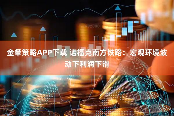 金夆策略APP下载 诺福克南方铁路：宏观环境波动下利润下滑