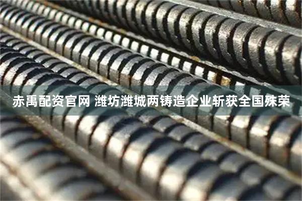 赤禹配资官网 潍坊潍城两铸造企业斩获全国殊荣